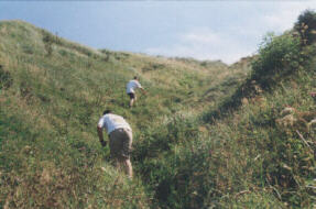No-BiG-Weekend 1999/01